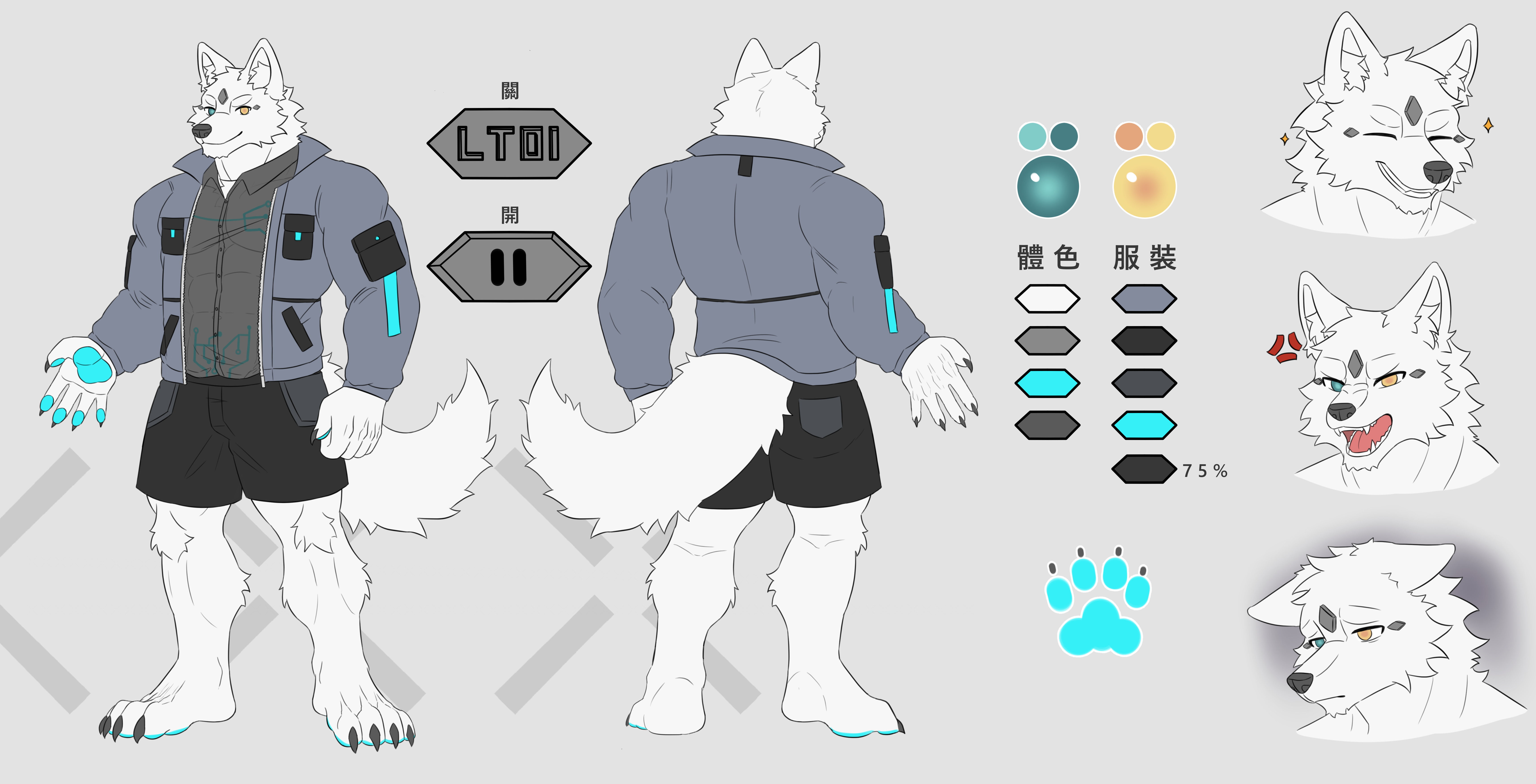 fur-3